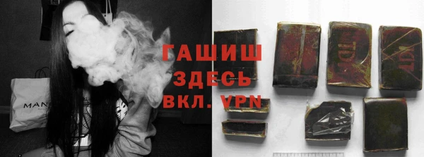 прущие грибы Надым