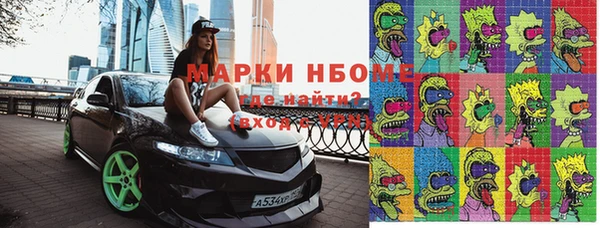 прущие грибы Надым