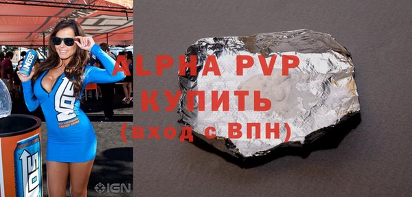 прущие грибы Надым