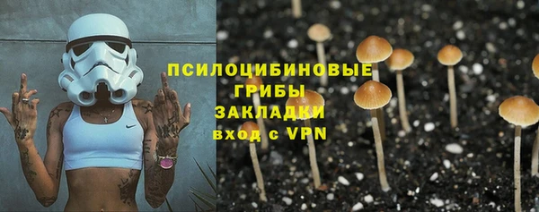 прущие грибы Надым