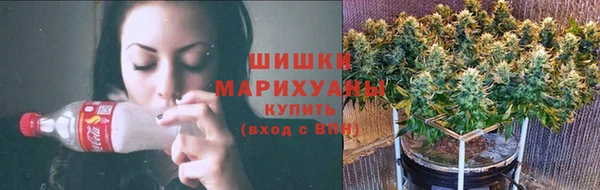 прущие грибы Надым
