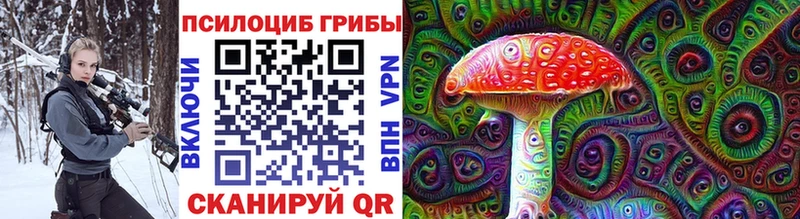 Псилоцибиновые грибы Psilocybe  где купить наркоту  Бор 