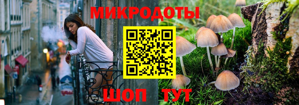 цена   Бор  Псилоцибиновые грибы прущие грибы  Галлюциногенные грибы Cubensis 